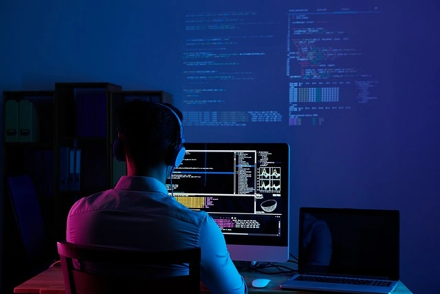 SOFTWARE SECTOR IN 2025