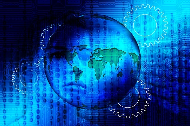 THE SOFTWARE SECTOR IN 2025