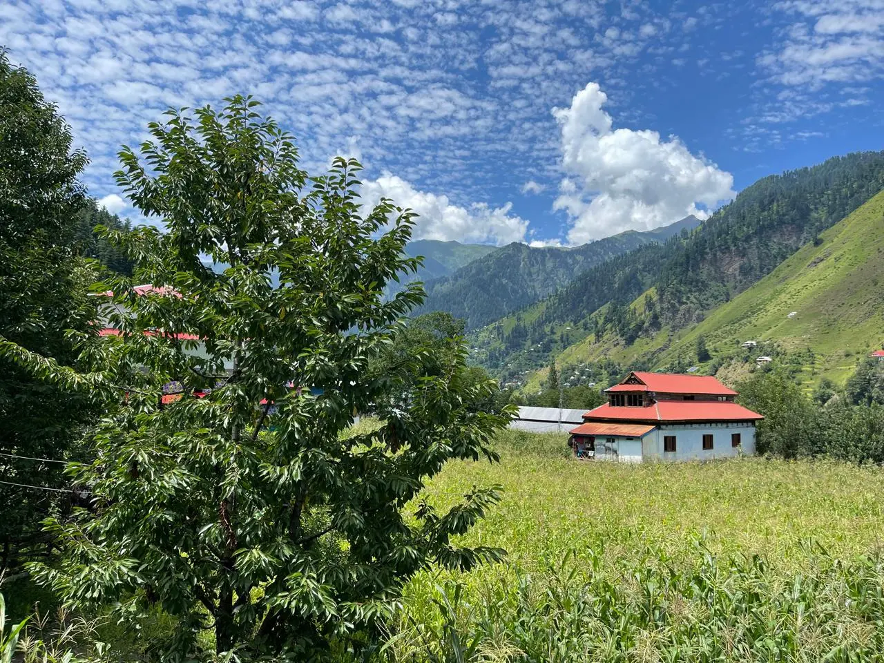 HEAVEN IS A PLACE ON EARTH NEELUM VALLEY