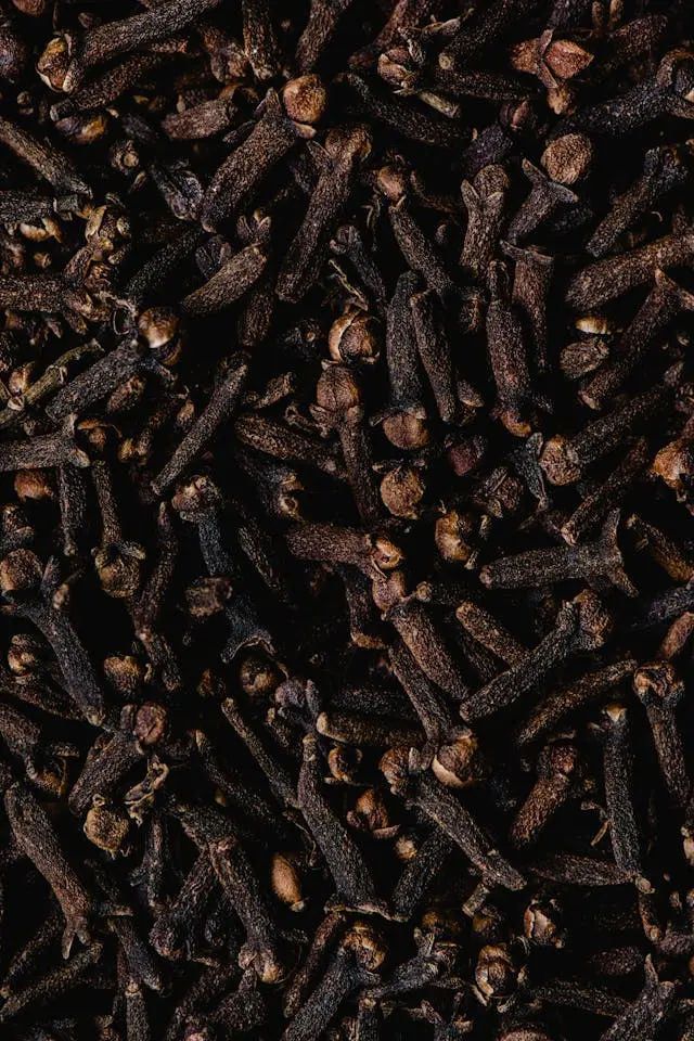 Clove medicinal properties