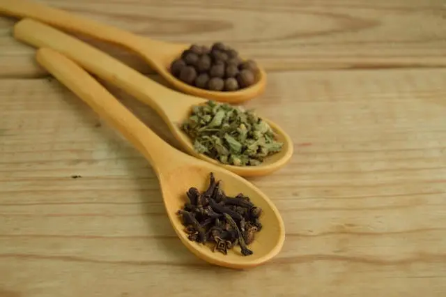 Clove medicinal properties