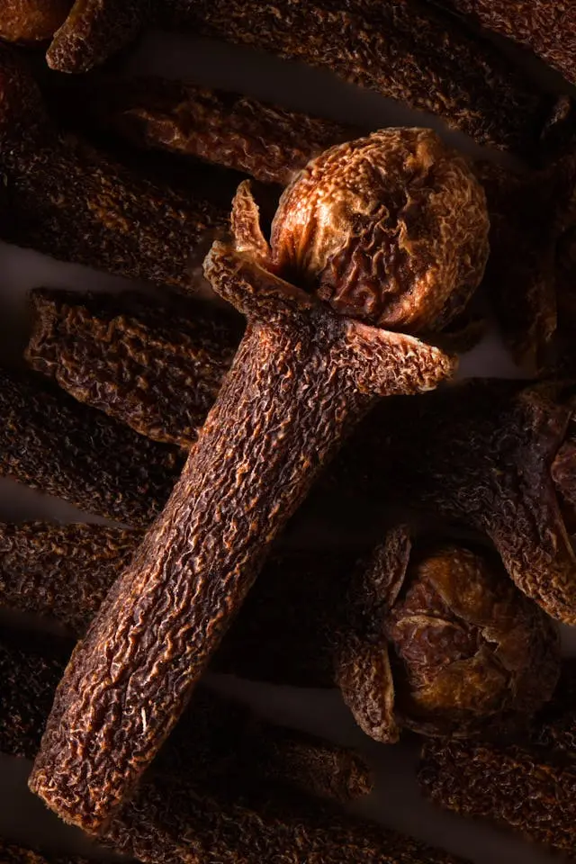 Clove medicinal properties