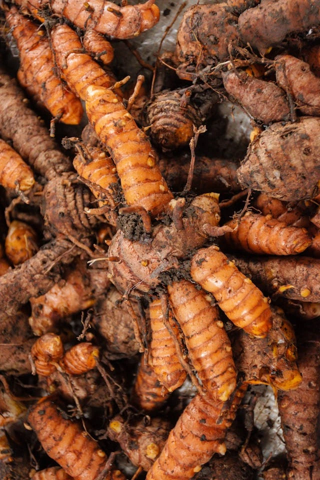 Curcumin benefits