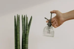 Water Plant Accessories