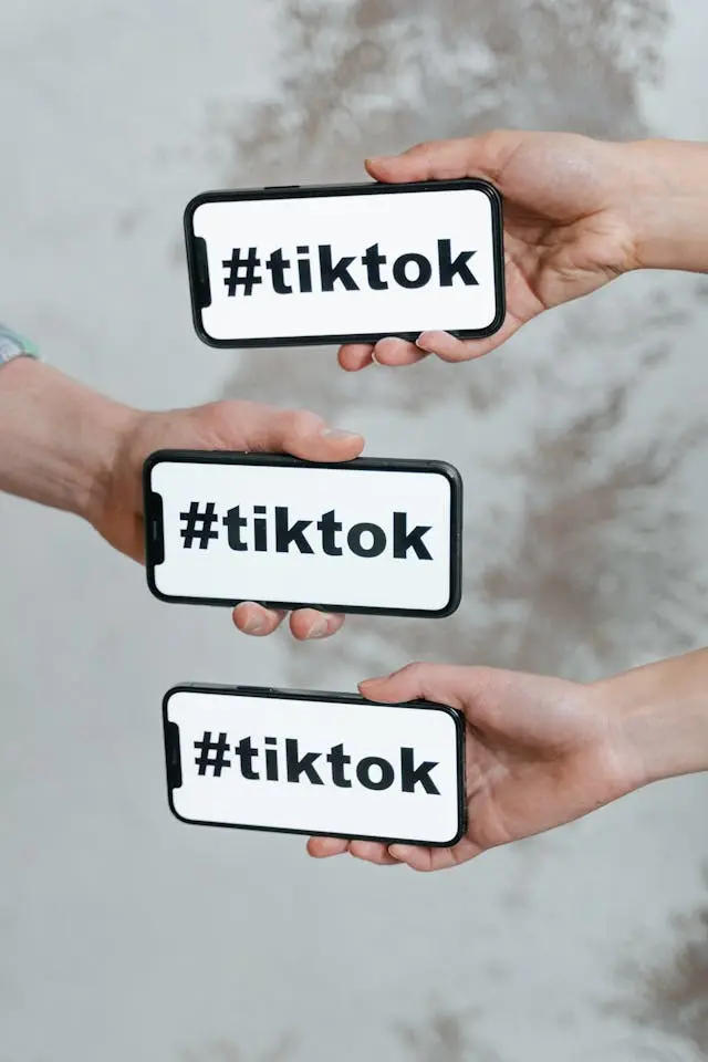 TikTok craft trends