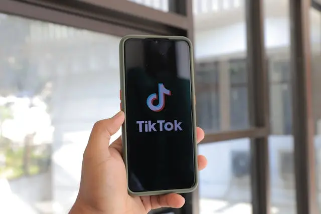 TikTok craft trends