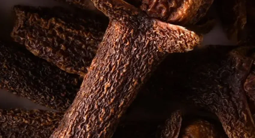 Clove medicinal properties
