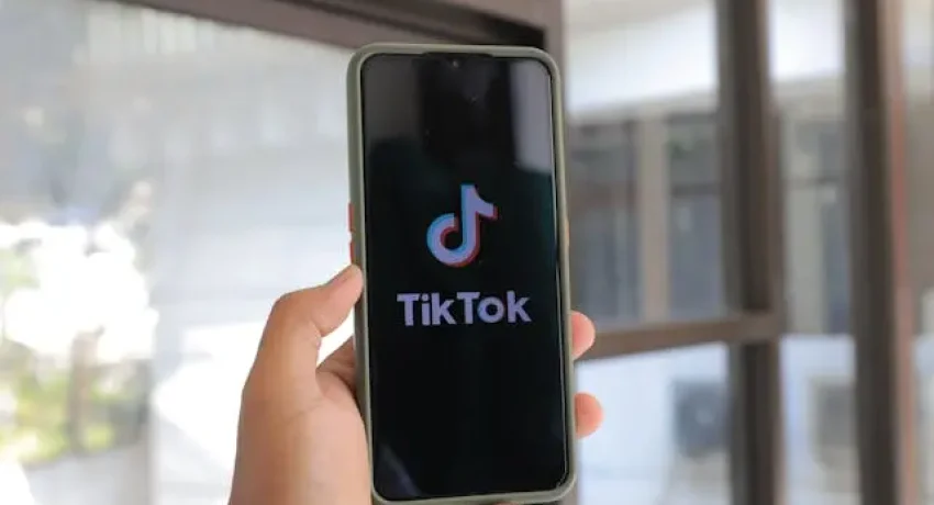 TikTok craft trends